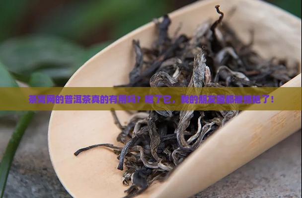 茶窝网的普洱茶有用吗