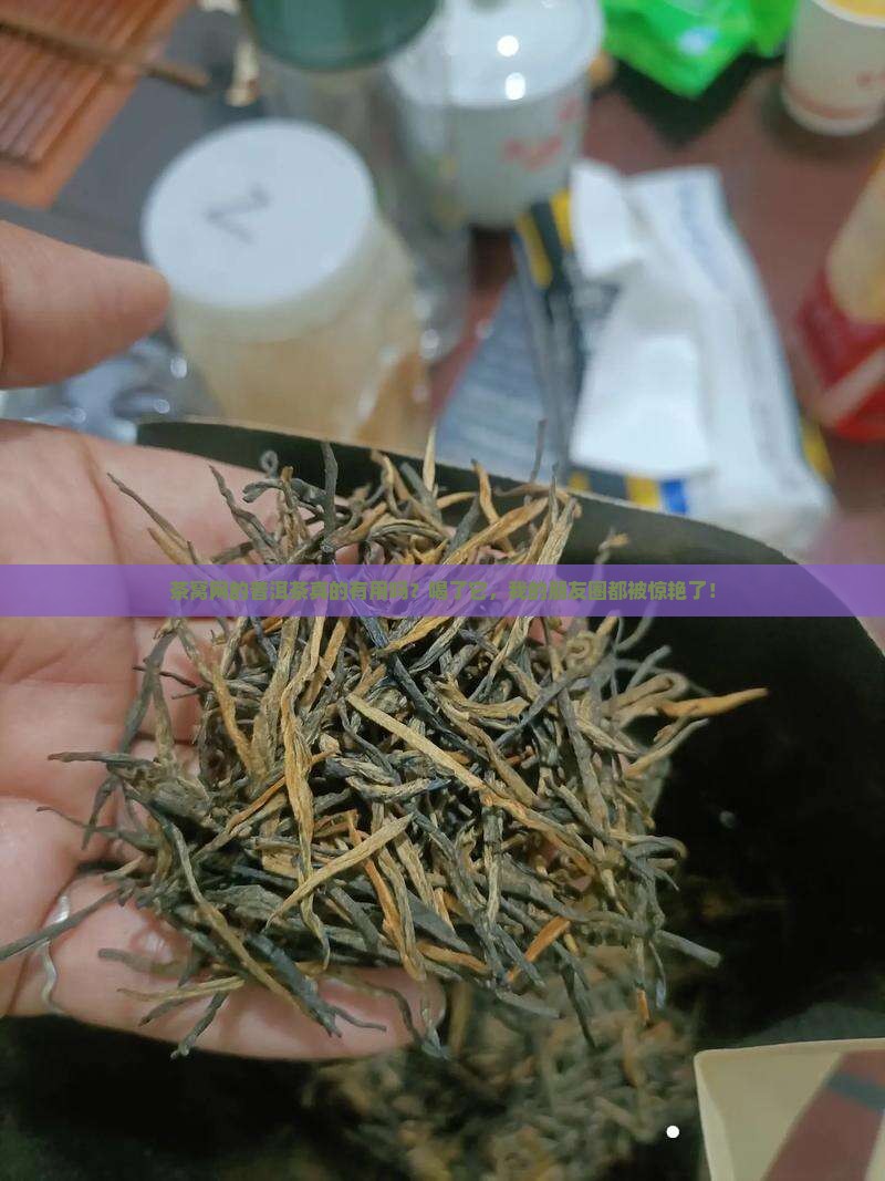 茶窝网的普洱茶有用吗