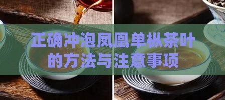 单丛茶叶能泡多久 单丛茶叶能泡多久