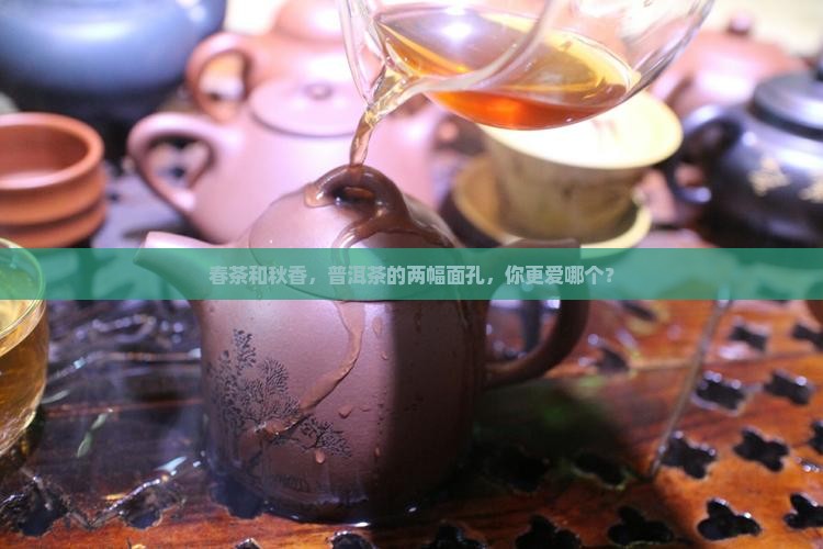 普洱茶春茶秋香有什么区别