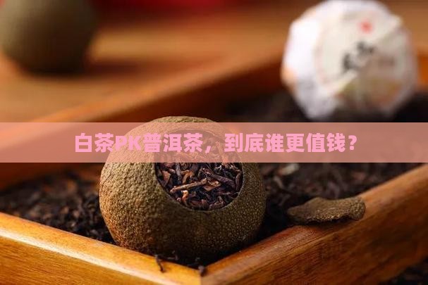 白茶与普洱茶哪种贵