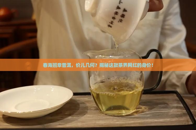 春海牌班章普洱茶价格表