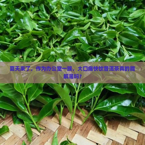 普洱茶适合热天喝吗