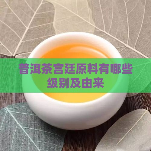 普洱茶宫廷原料