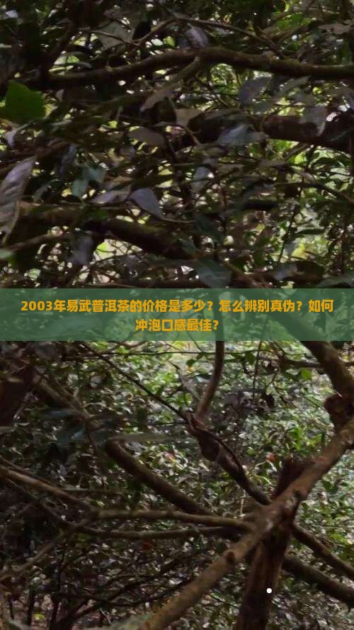 2003年易武普洱茶