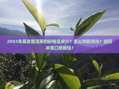 2003年易武普洱茶