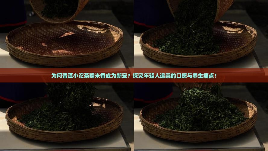 普洱小沱茶糯米香