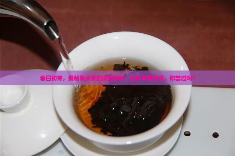 纯正易武早春普洱茶