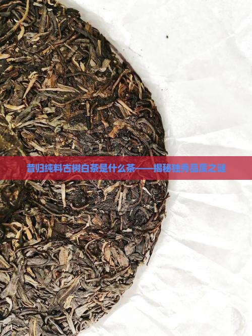 昔归纯料古树白茶是什么茶