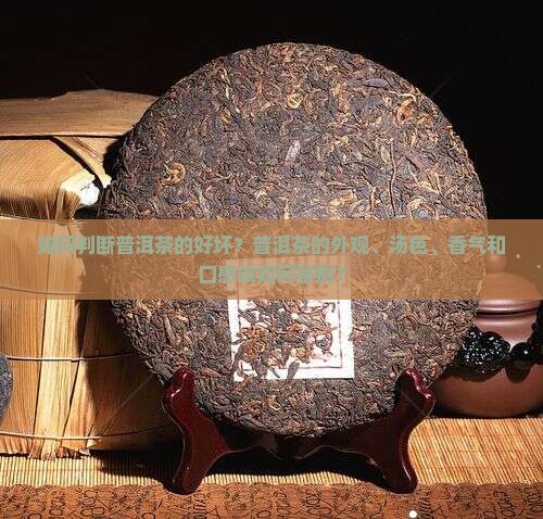 普洱茶的茶怎么看好坏