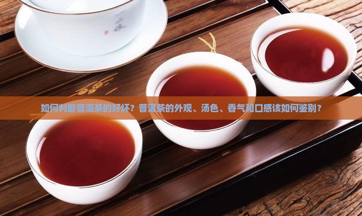 普洱茶的茶怎么看好坏