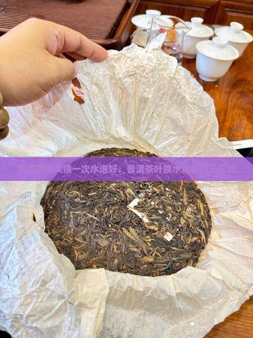普洱茶多久换一次水泡好