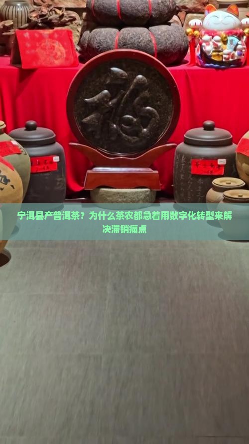 宁洱县产普洱茶