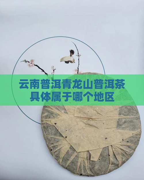 青龙山普洱茶属于哪里