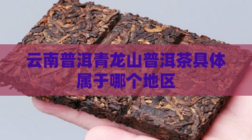 青龙山普洱茶属于哪里