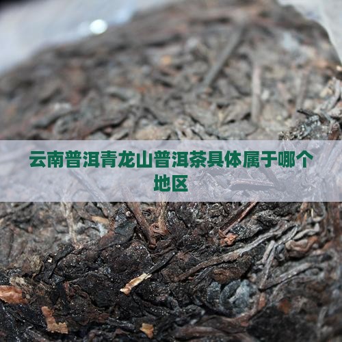 青龙山普洱茶属于哪里