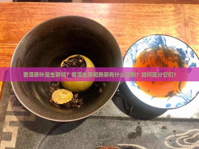 普洱茶叶是生茶吗