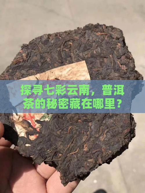 七彩云南普洱茶怎样