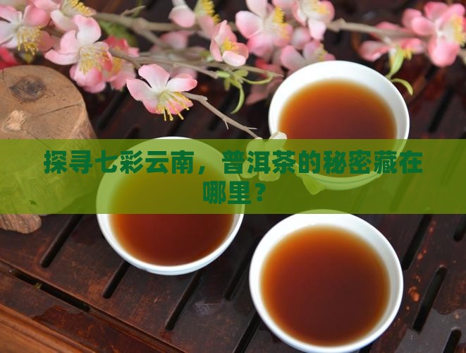 七彩云南普洱茶怎样
