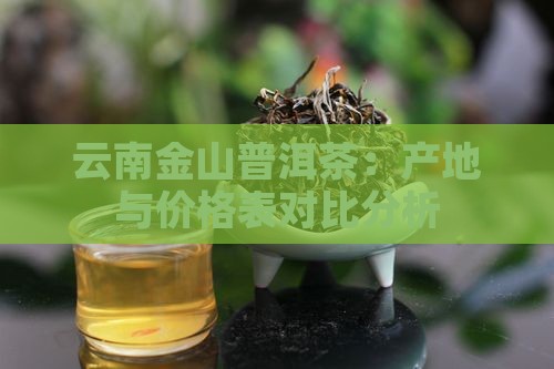云南金山普洱茶