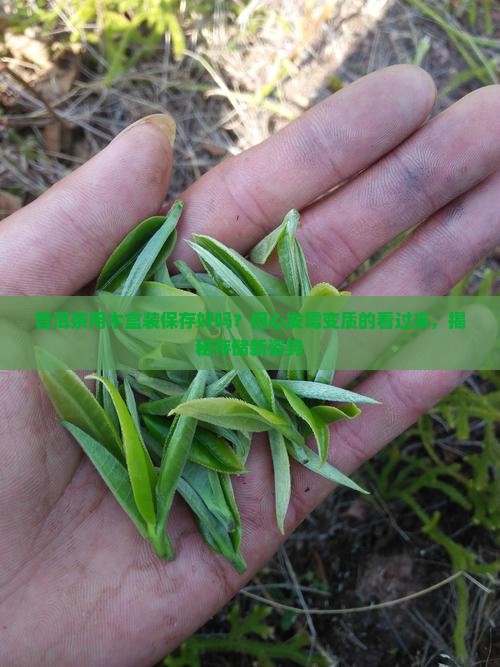普洱茶用木盒装保存好吗