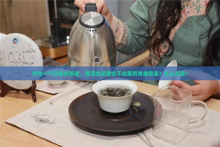 普洱茶生茶会有黄曲霉素吗