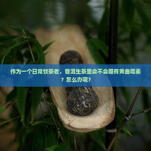 普洱茶生茶会有黄曲霉素吗