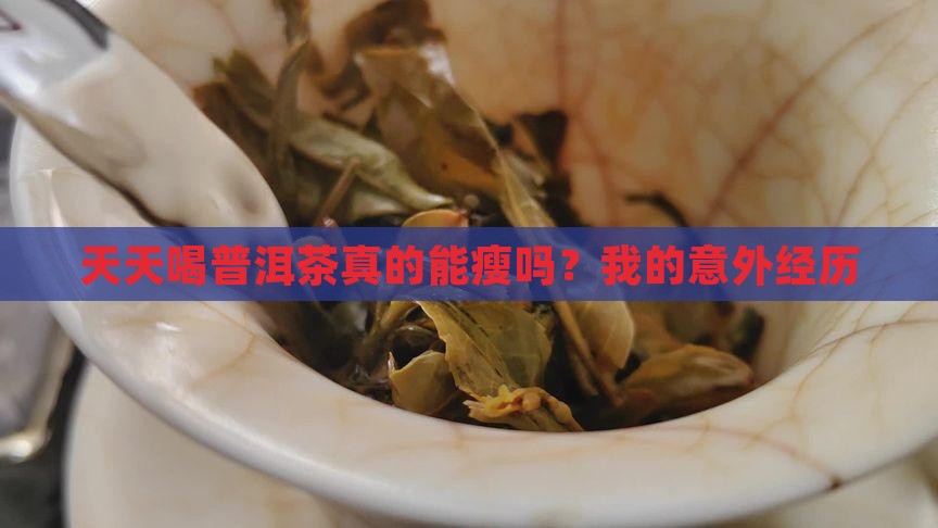 天天喝普洱茶瘦了
