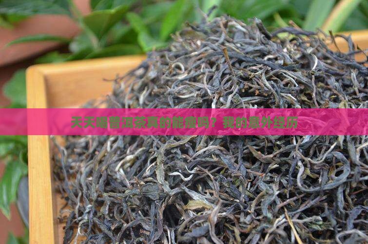 天天喝普洱茶瘦了