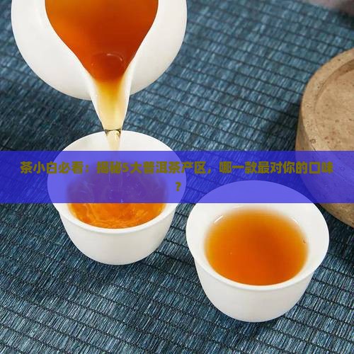 普洱茶产区分布及口感特征