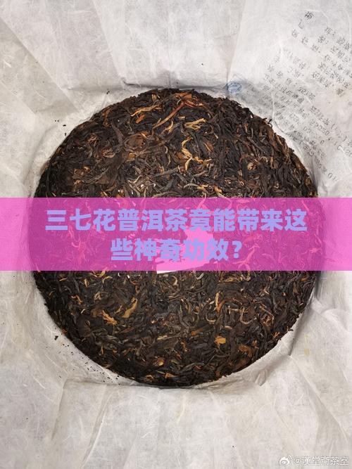 三七花普洱茶的功效是什么