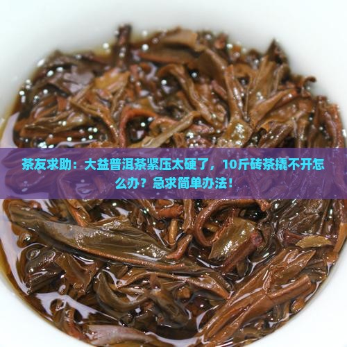 大益普洱茶紧压