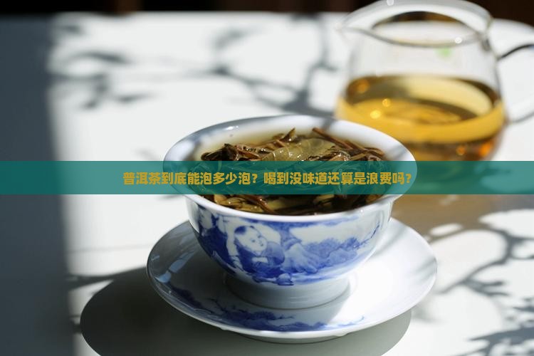 普洱茶可以泡几泡