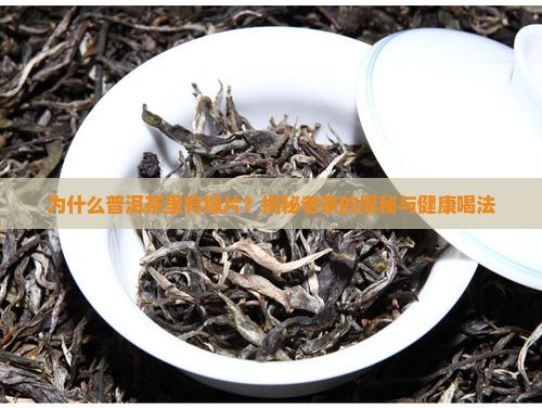 普洱茶里有绿片