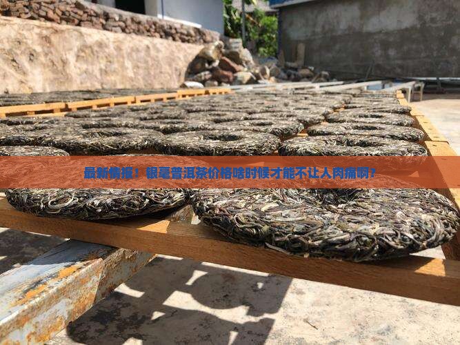 银毫普洱茶最新价格