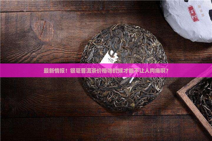 银毫普洱茶最新价格