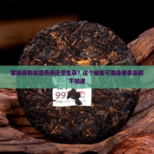 紫娟茶是熟茶还是生茶
