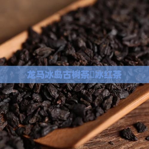 龙马冰岛古树茶