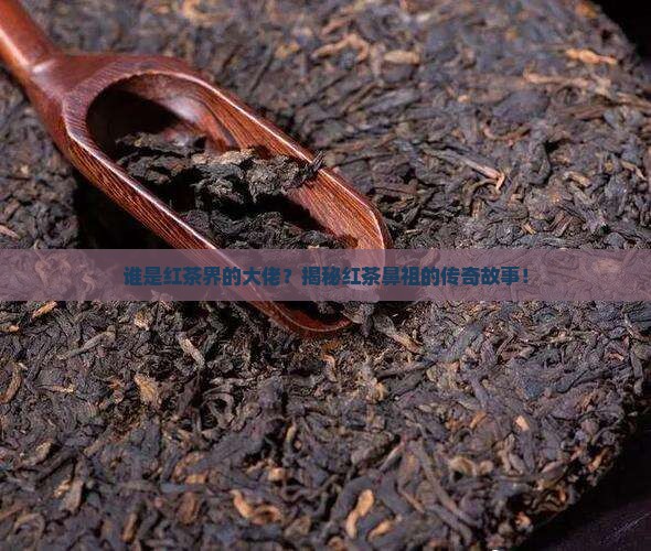 红茶鼻祖是什么