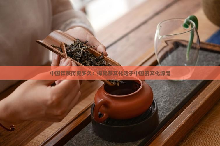 饮茶的历史有多久中国的饮茶始于