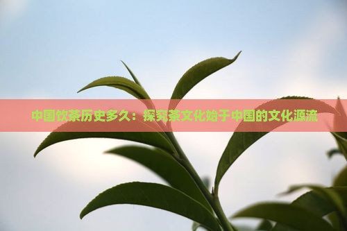 饮茶的历史有多久中国的饮茶始于