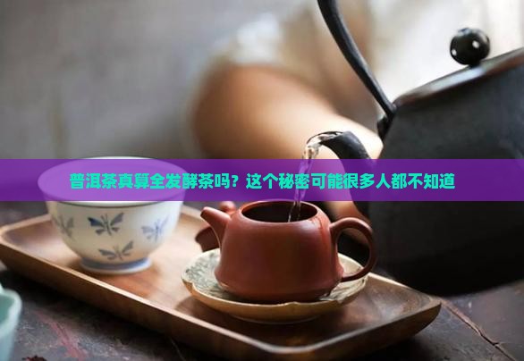 普洱茶属于全发酵吗