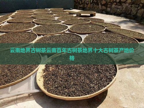 云南地界古树茶云南百年古树茶
