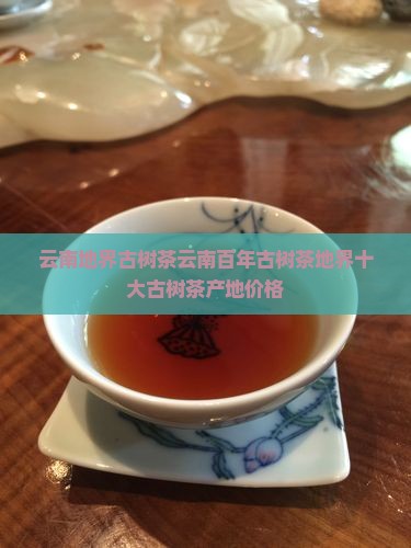 云南地界古树茶云南百年古树茶