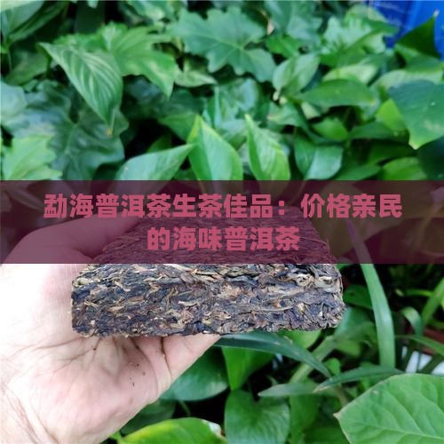勐海味普洱茶生茶 勐海味普洱茶生茶