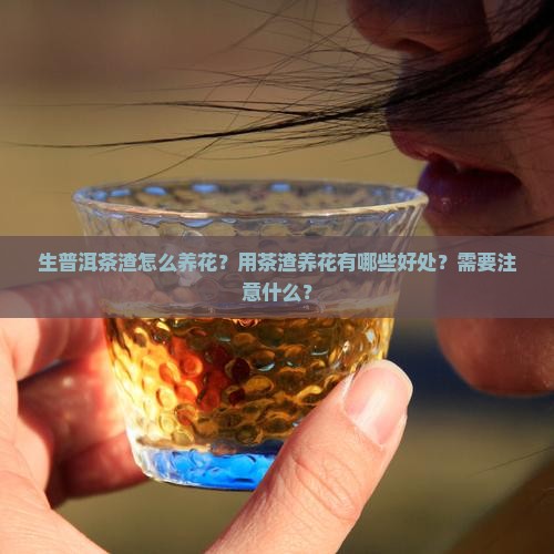生普洱茶渣怎么养花