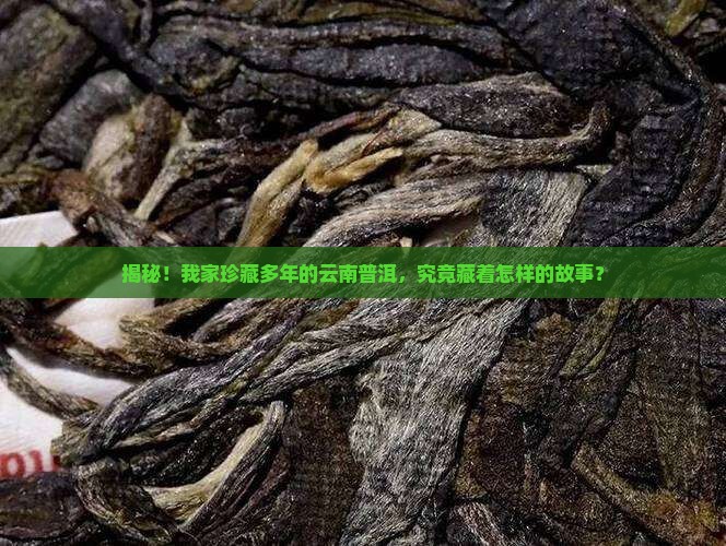 压箱底云南普洱茶