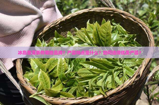 冰岛普洱茶有哪些品牌产品
