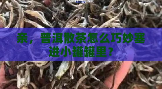 普洱茶散茶如何装罐子