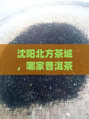 沈阳北方茶城哪家卖普洱茶